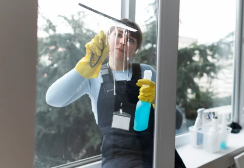 Nettoyage de vitres intérieures et extérieures à Morillon